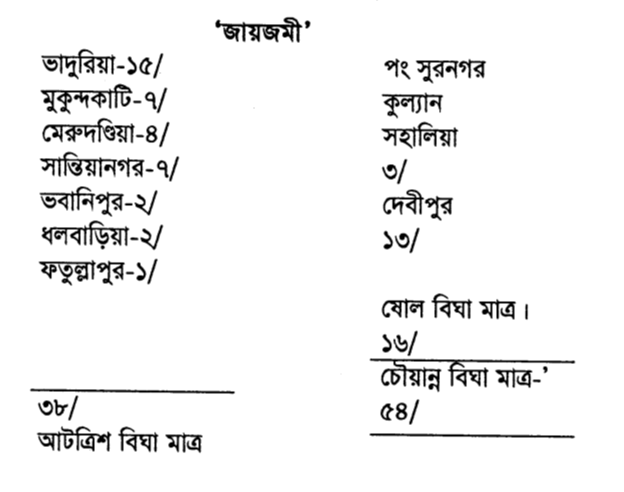 জায়জমী