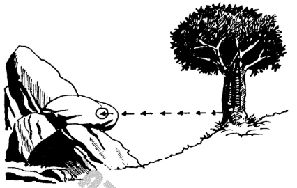 A cartoon of a frog and a tree  AI-generated content may be incorrect.