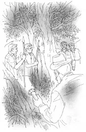 Cov36
