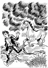 Cov24