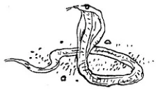Cov10