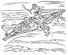 Cov14
