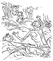 Cov15