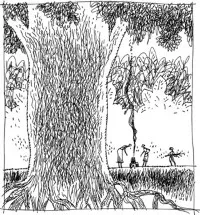 i20