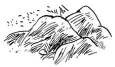 Cov15