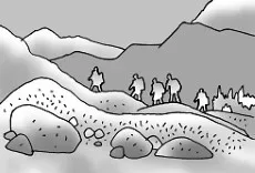 Cov148