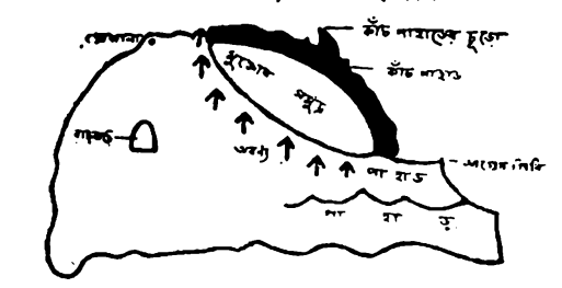 A drawing of a whale  AI-generated content may be incorrect.