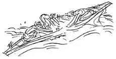 Cov16