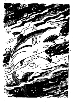 A cartoon of a shark  AI-generated content may be incorrect.